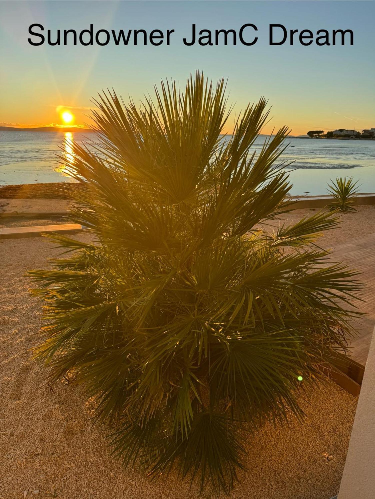 Jamc Dream Familientraum Direkt Am Meer Mit Beheiztem Pool Privlaka  Bagian luar foto